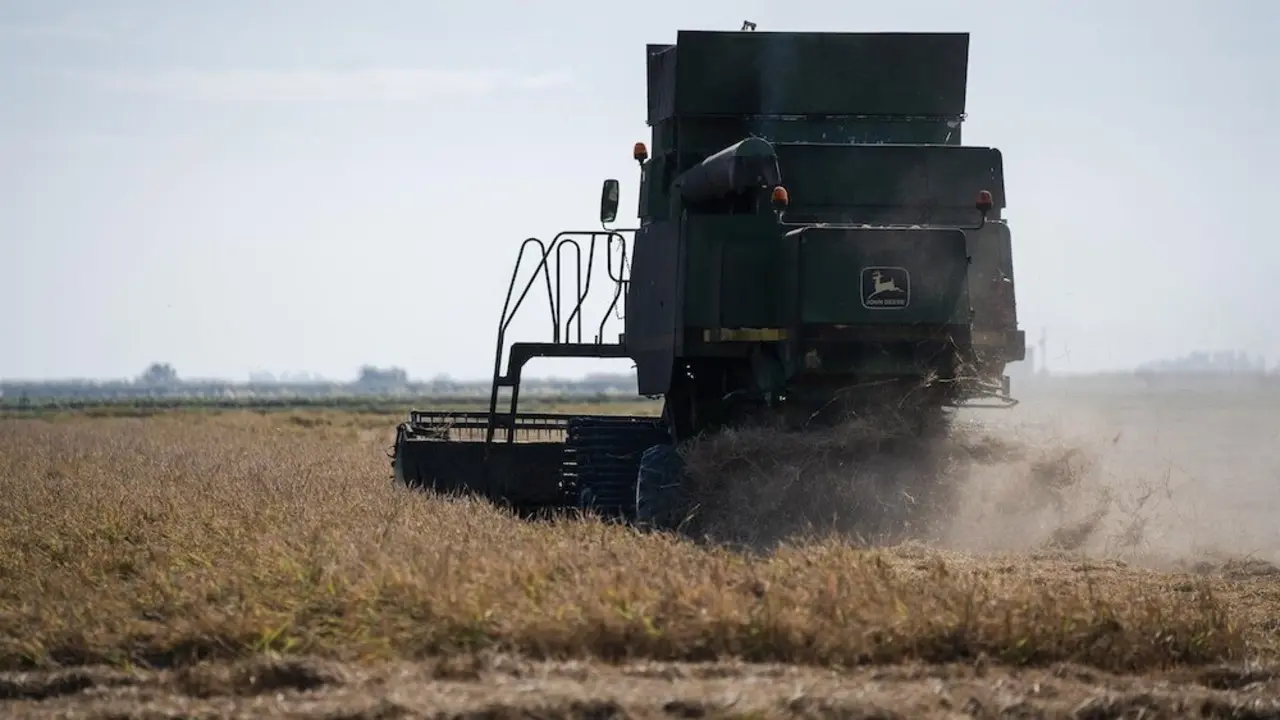 cosechadora, PAC, agricultura, campo, cereal, cosecha, maquinaría agrícola,