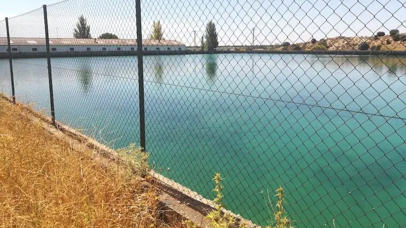 Advierten del peligro de que se use para el baño una balsa de riego de Cuenca