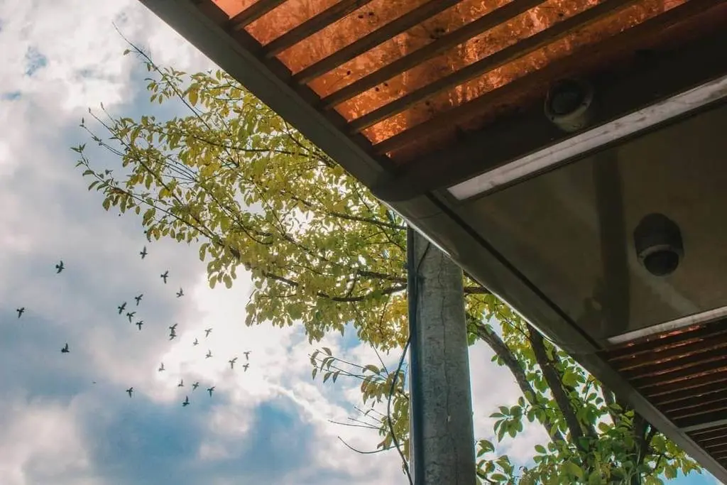 Cabinas de madera con terraza vs sin terraza