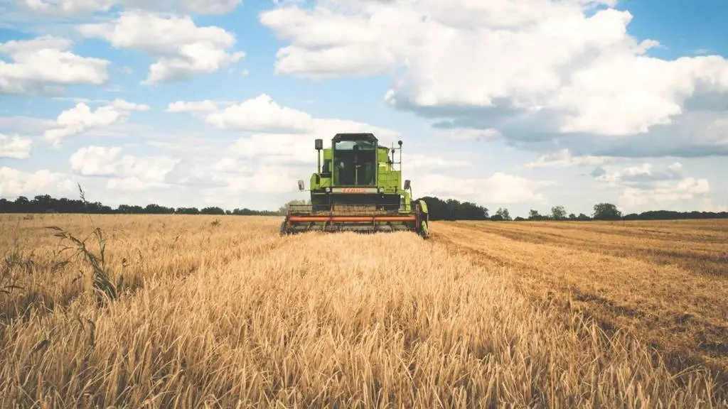 agricultura, cosechadora, cereal, trigo, cosecha, agricultor, maquinaria agrícola, PAC