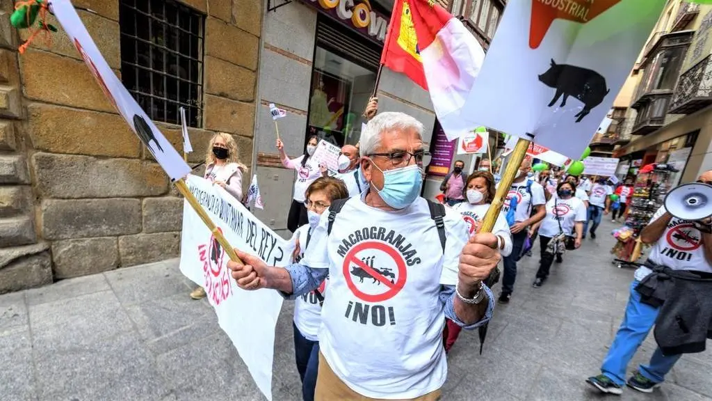 Momento de la manifestación convocada por la plataforma Stop Macrogranjas este domingo en Toledo para exigir a la Junta de Comunidades de Castilla-La Mancha una moratoria a los proyectos nuevos o ampliaciones de ganadería industrial - EFE/Ismael Herrero