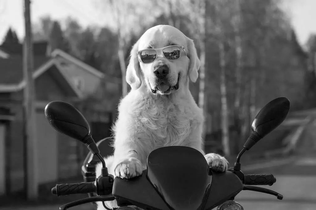 Esto es lo que tienes que evitar si usas la moto en verano