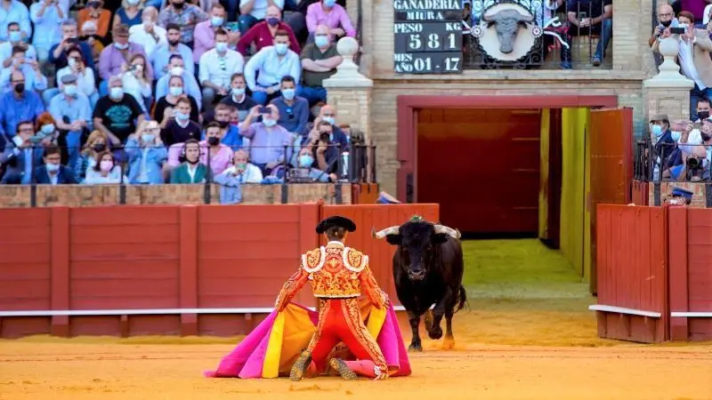 Los toros se quedan fuera del bono cultural de 400 euros para los jóvenes, toreros, plaza de toros, corrida,