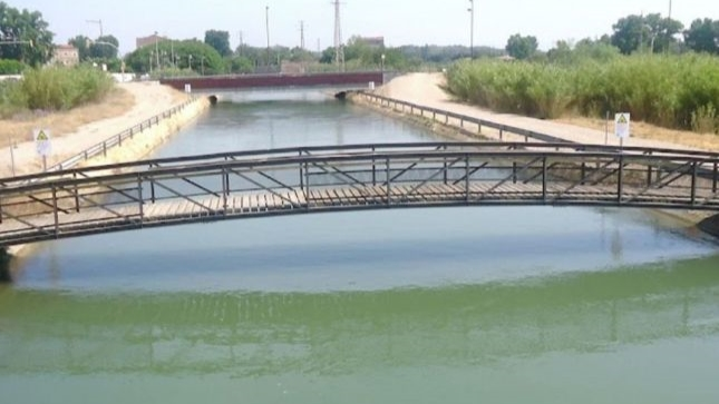 Macabro hallazgo en un canal: encuentran un cadáver sin cabeza flotando en el agua