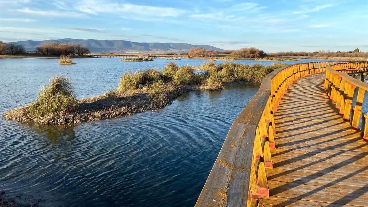 Imagen de archivo del Parque Nacional de las Tablas de Daimiel - SEO/BIRDLIFE