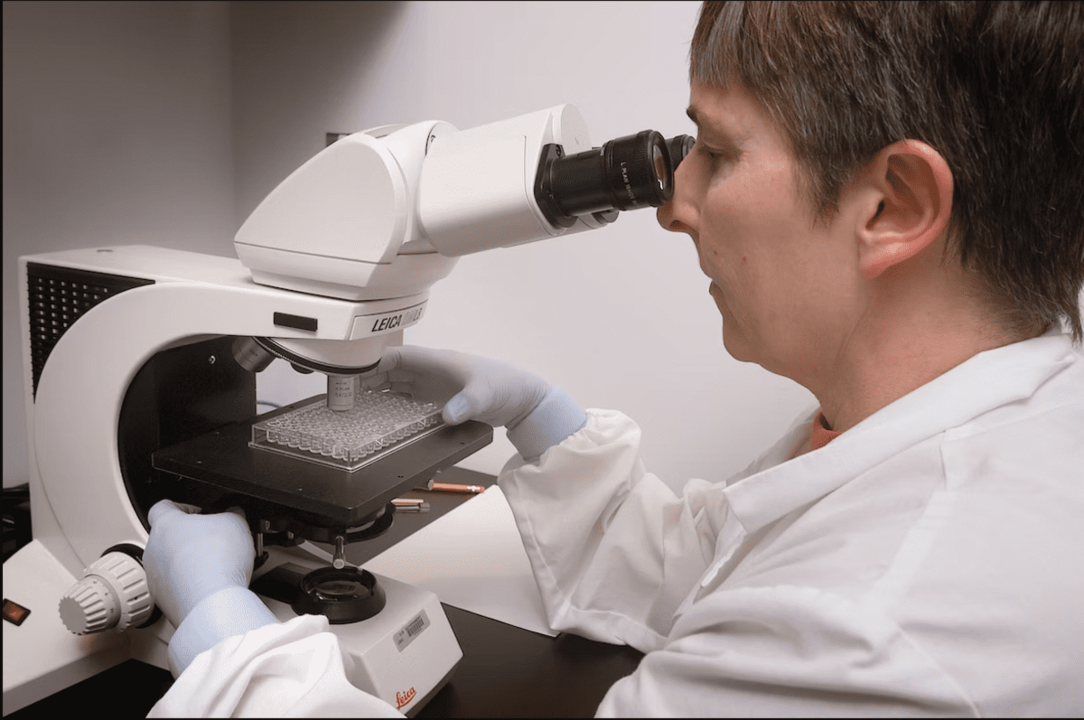  Microbiología industrial, un sector en auge 