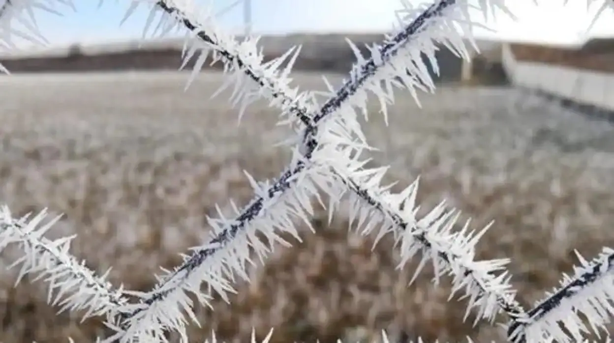 Mira registra la tercera temperatura más baja de España con -7,4ºC, tiempo, frío, helada, escarcha, heladas, invierno,