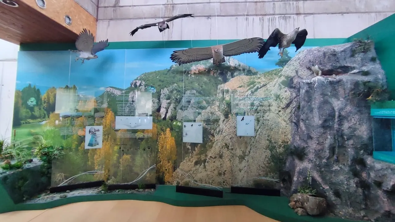 El Centro de Interpretación del Tajo en Zaorejas triplica su número de visitas