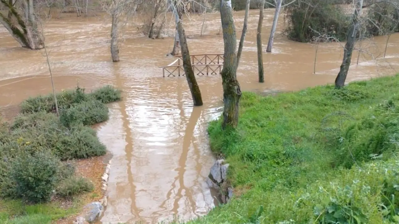 El río Henares se desborda en algunos puntos a su paso por Guadalajara capital