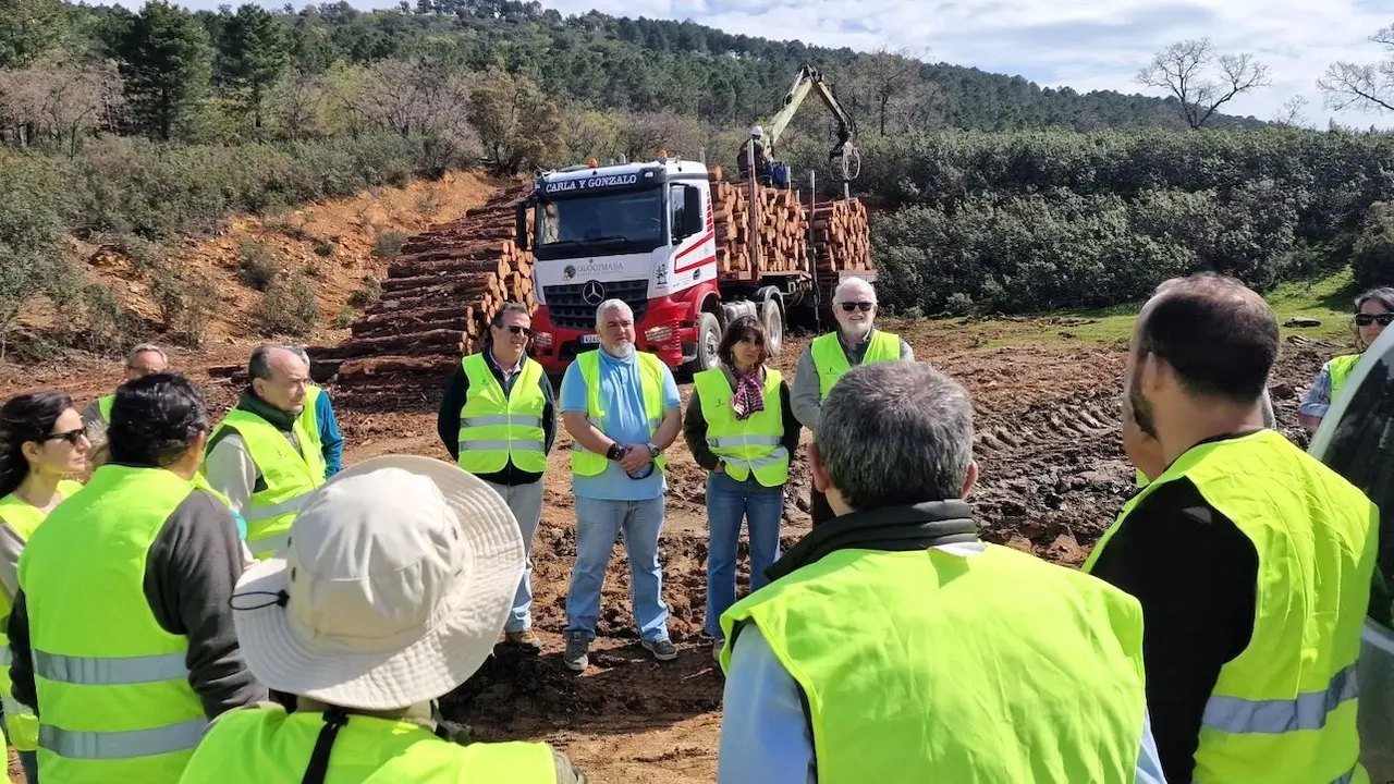 La directora general de Medio Natural y Biodiversidad, Susana Jara, durante su visita a las actuaciones de gestión forestal sostenible que se están desarrollando en el monte de utilidad pública denominado ‘La Garganta’ en el término municipal de Brazatortas (Ciudad Real)