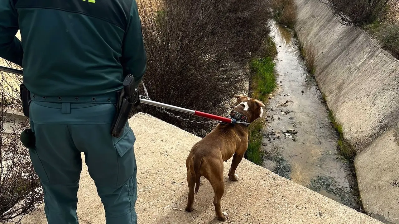 La Guardia Civil rescata a un perro atrapado varios días en un canal de agua