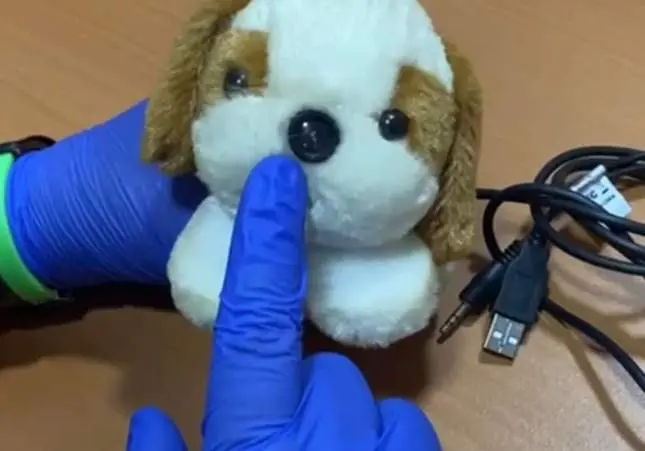 Droga a su hijastra y la viola mientras graba todo con una cámara en un peluche