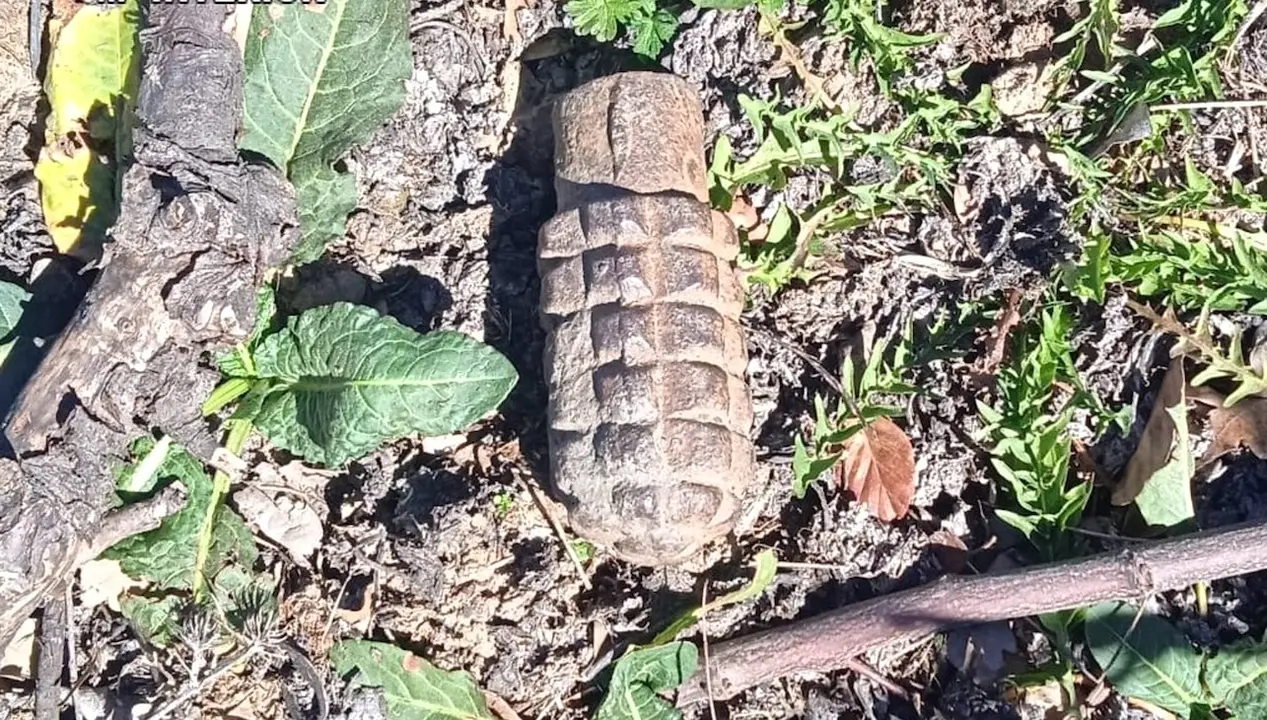 Desactivan en Campillejo (Guadalajara) una granada de mano de la Guerra Civil hallada por un ganadero y que mantenía toda su carga explosiva