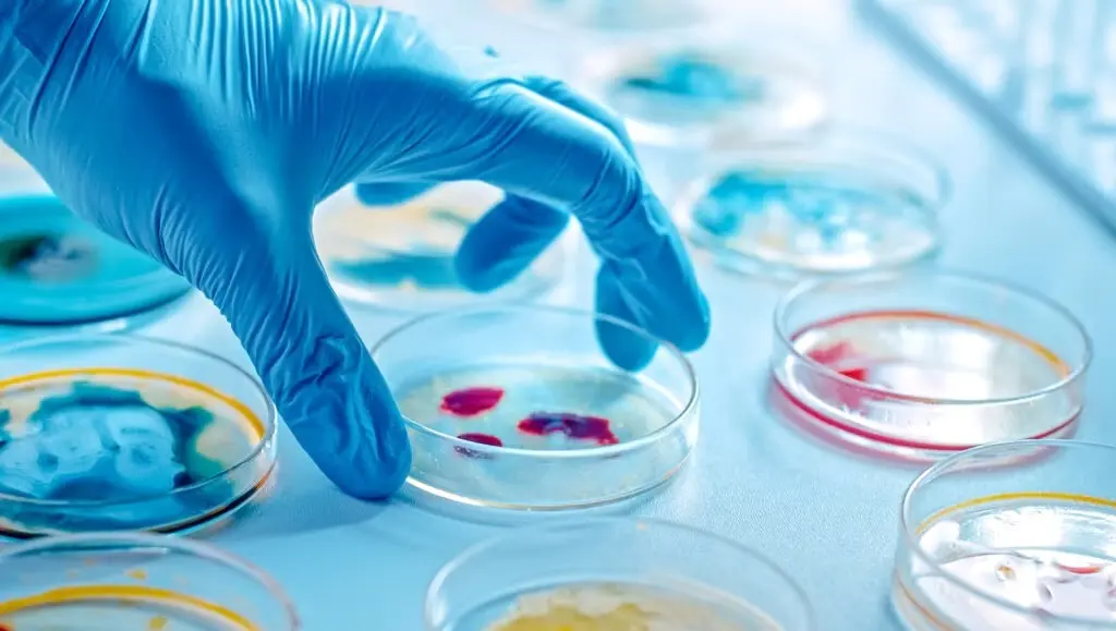 Castilla-La Mancha, entre las CCAA que menos gasto en I+D en biotecnología realizaron en 2022
