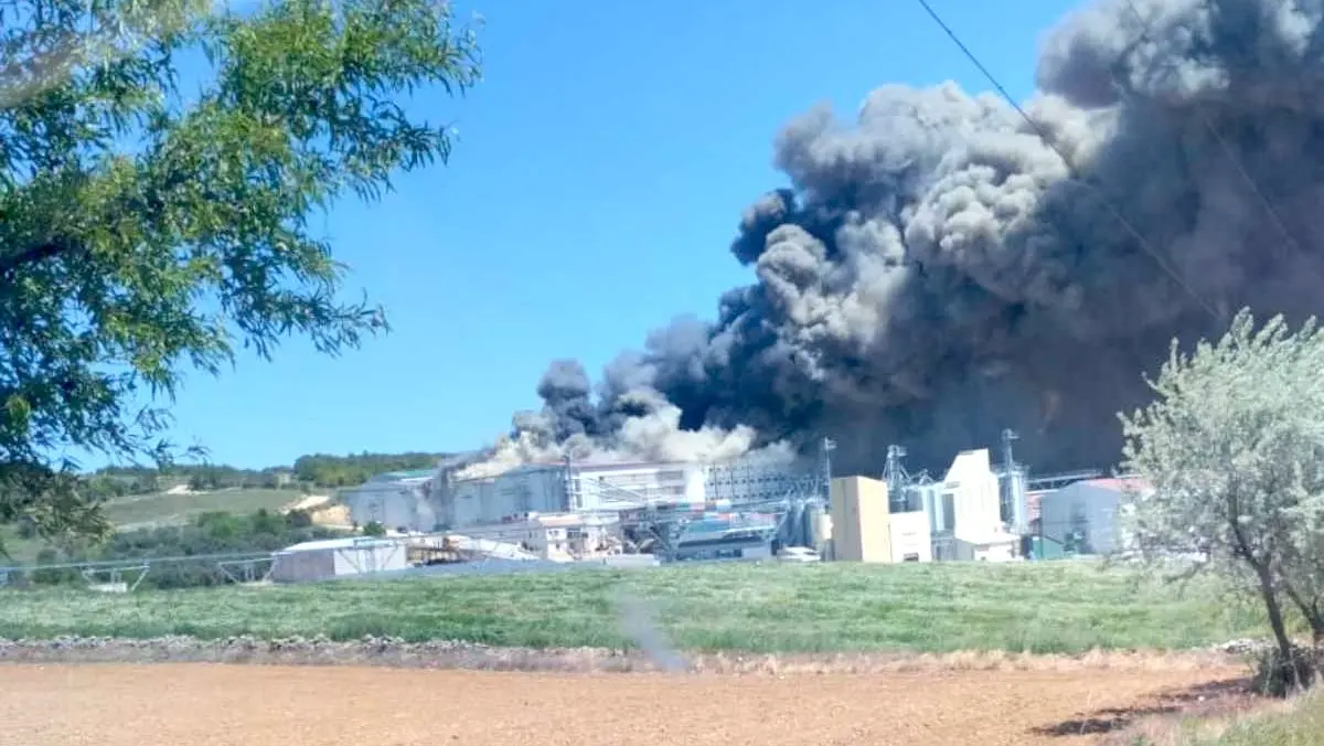Un incendio destruye una granja avícola de Rujamar en San Lorenzo de la Parrilla (Cuenca)