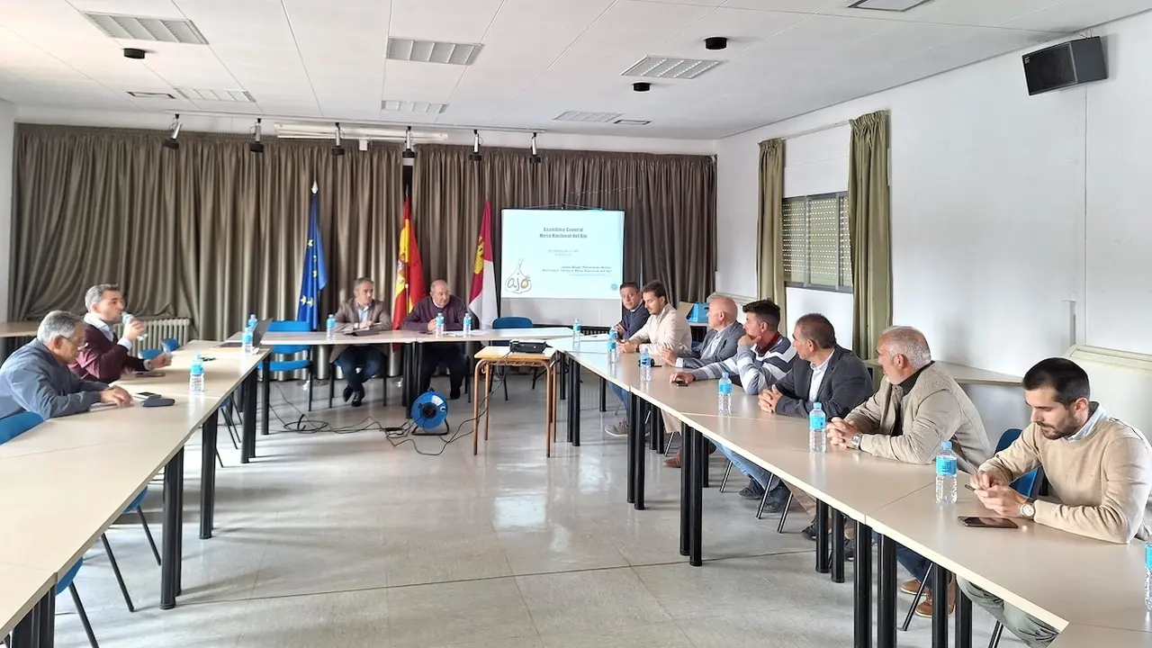La Mesa Nacional del Ajo estima un descenso del 16% de superficie sembrada