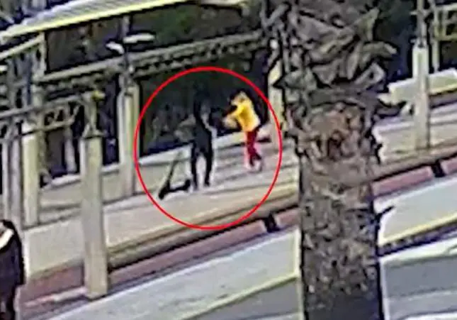 VIDEO. Así actúan los ladrones del patinete: roban a mujeres y huyen a toda velocidad