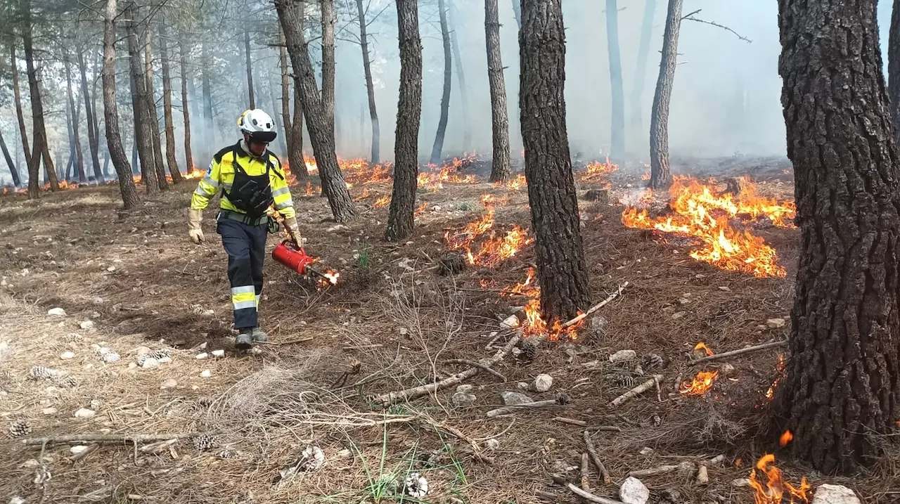 Las quemas prescritas o cómo vacunar a los montes frente a los incendios forestales