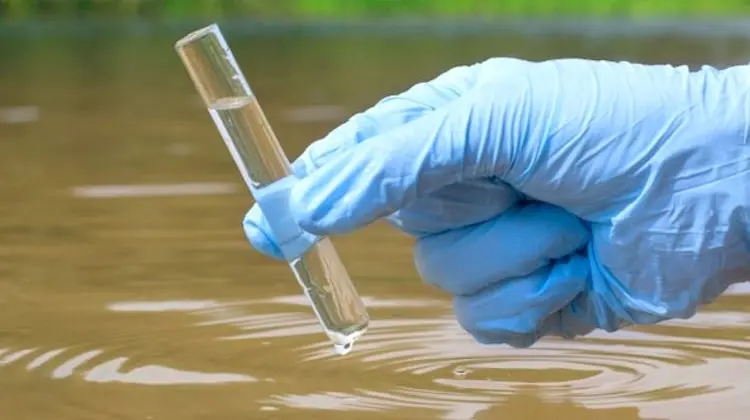 El 52% de las aguas subterráneas de Castilla-La Mancha presentan contaminación por nitratos