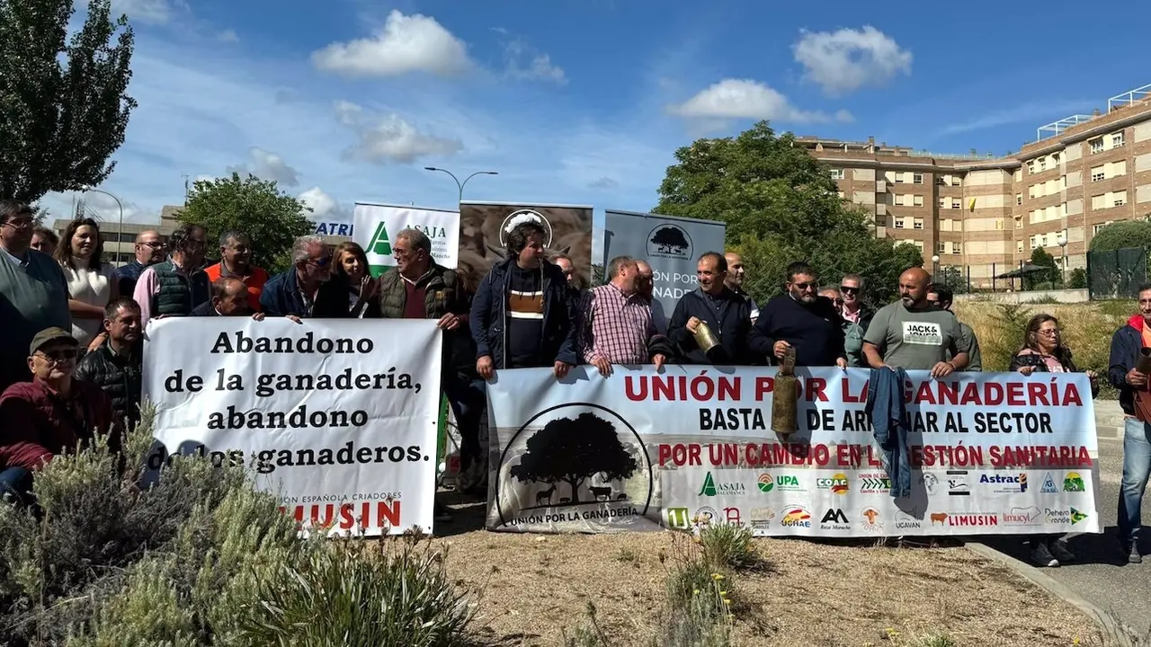 Protesta organizada por Asaja y Unión por la Ganadería con motivo del Foro de la Ganadería Extensiva que se celebra en Toledo