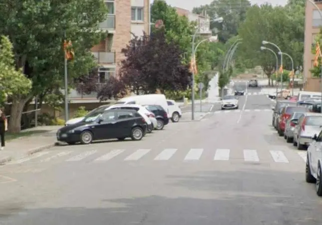 Arrolla a una mujer que cruzaba un paso con su perro y huye dejándola agonizando