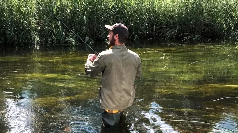 Castilla-La Mancha modifica la Orden de Vedas de Pesca para prohibir la pesca de la anguila