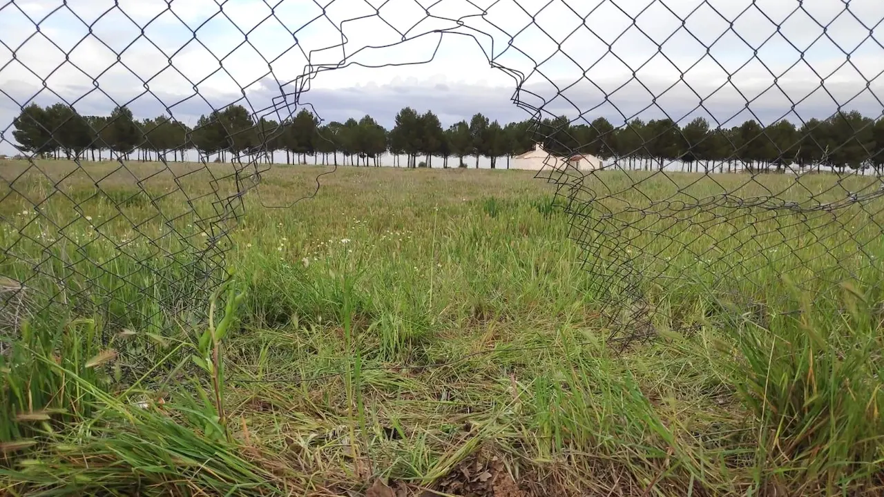 Denuncian el robo de material de riego y transformadores eléctricos en Ciudad Real