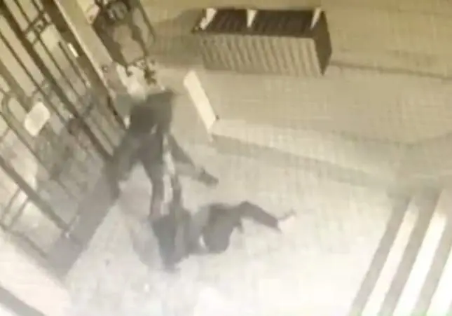 VIDEO. Detenido un peligroso ladrón por un brutal ataque a una chica en un portal