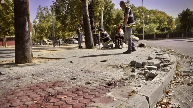 Muere dos hombres asesinados a puñaladas durante una reyerta en un polígono - Fotografía: Diario de Sevilla/Juan Carlos Vázquez, cadáver, crimen, atropello, atropellado