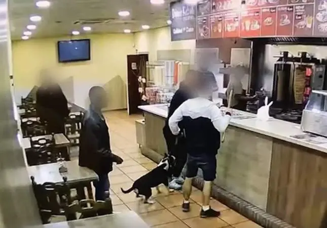 VIDEO. Brutal pelea en un local con hachas, catanas, golpes y un perro peligroso