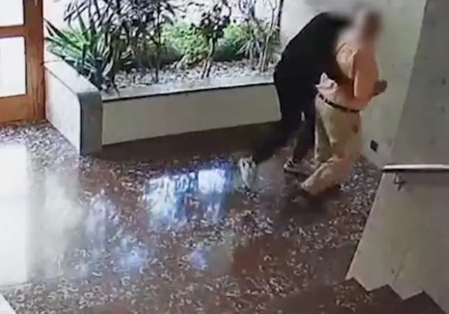 VIDEO. Así actúa la banda del abuelo: desvalijan a ancianos en cuestión de minutos