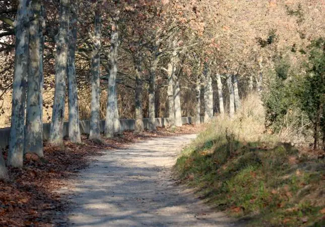 Buscan a un hombre tras atacar y violar a una chica que salió a caminar por el río