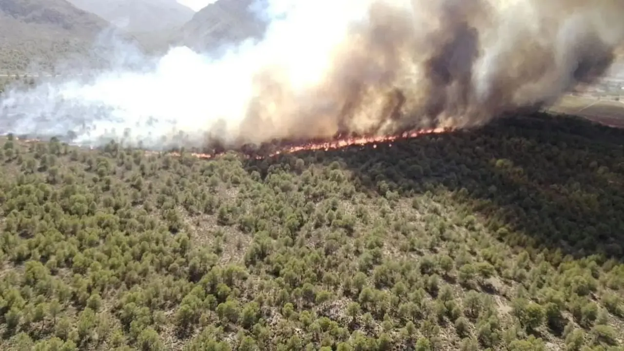 Medios aéreos y terrestres combaten un incendio forestal declarado en Hellín (Albacete)