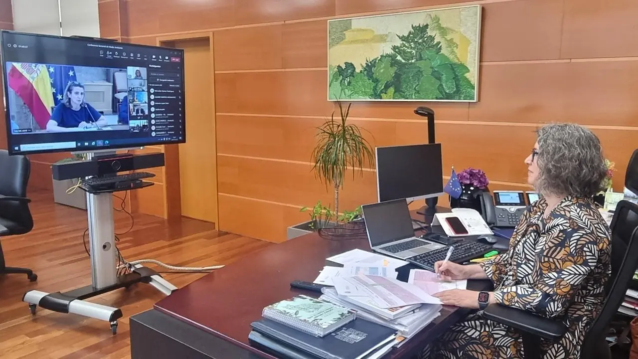 La consejera de Desarrollo Sostenible de Castilla-La Mancha, Mercedes Gómez, ha participado en la Conferencia Sectorial de Medio Ambiente del Ministerio de Transición Ecológica y Reto Demográfico (MITECO)