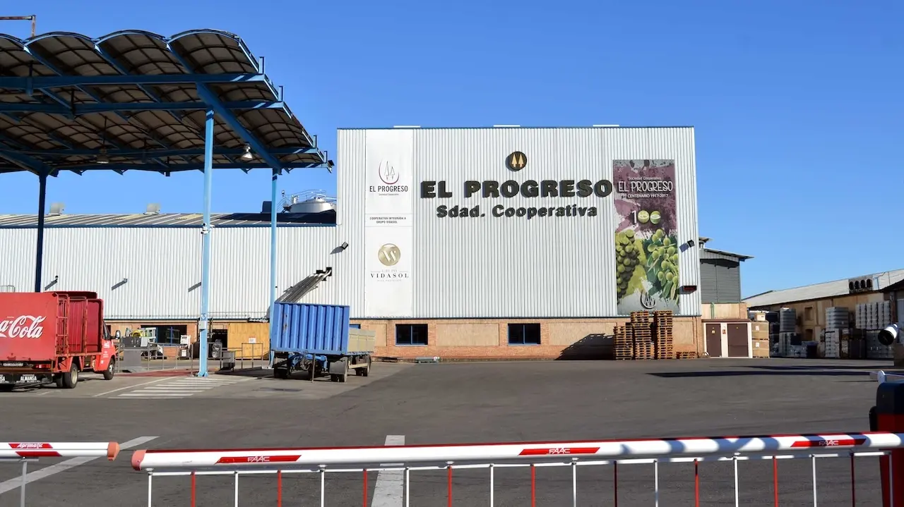 La cooperativa El Progreso empieza a recoger las variedades de uva más tempranas