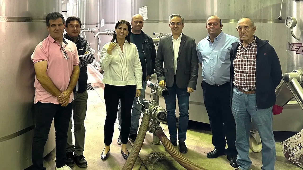 Diez bodegas y cooperativas de Cuenca reciben 1,4 millones en ayudas VINATI