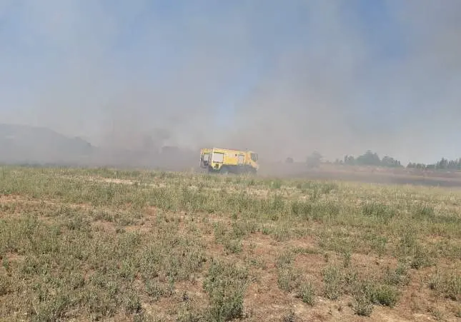 Aparece el cadáver de un hombre en el incendio de un terreno agrícola