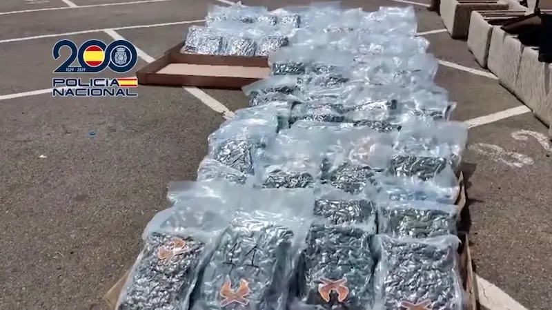 Siete detenidos por enviar marihuana en paquetes y camiones al extranjero