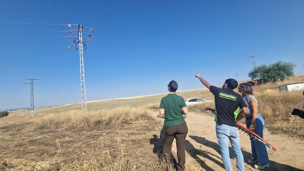 Castilla-La Mancha destina 10,7 millones a proteger a la avifauna de colisiones y electrocuciones