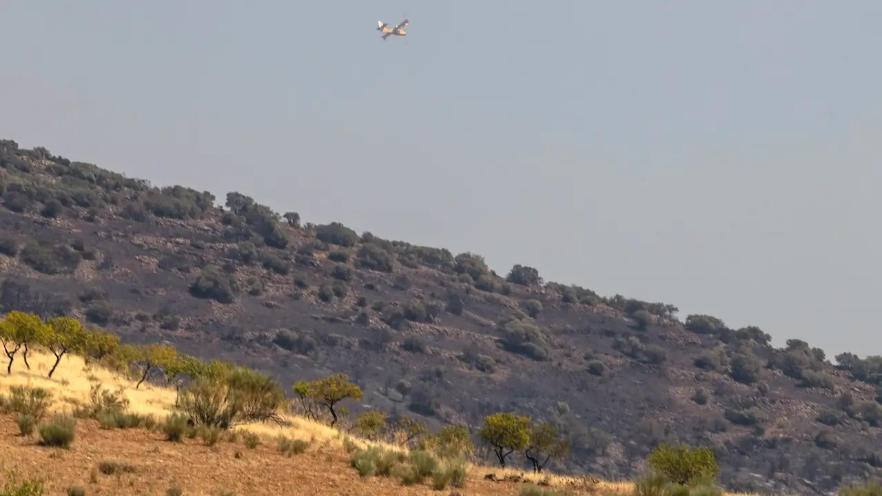 Tareas de extinción del incendio forestal detectado este martes en La Estrella (Toledo), que se encuentra en nivel 2 de operatividad por posible afección a bienes de naturaleza no forestal e infraestructuras esenciales - EFE/Ángeles Visdómine