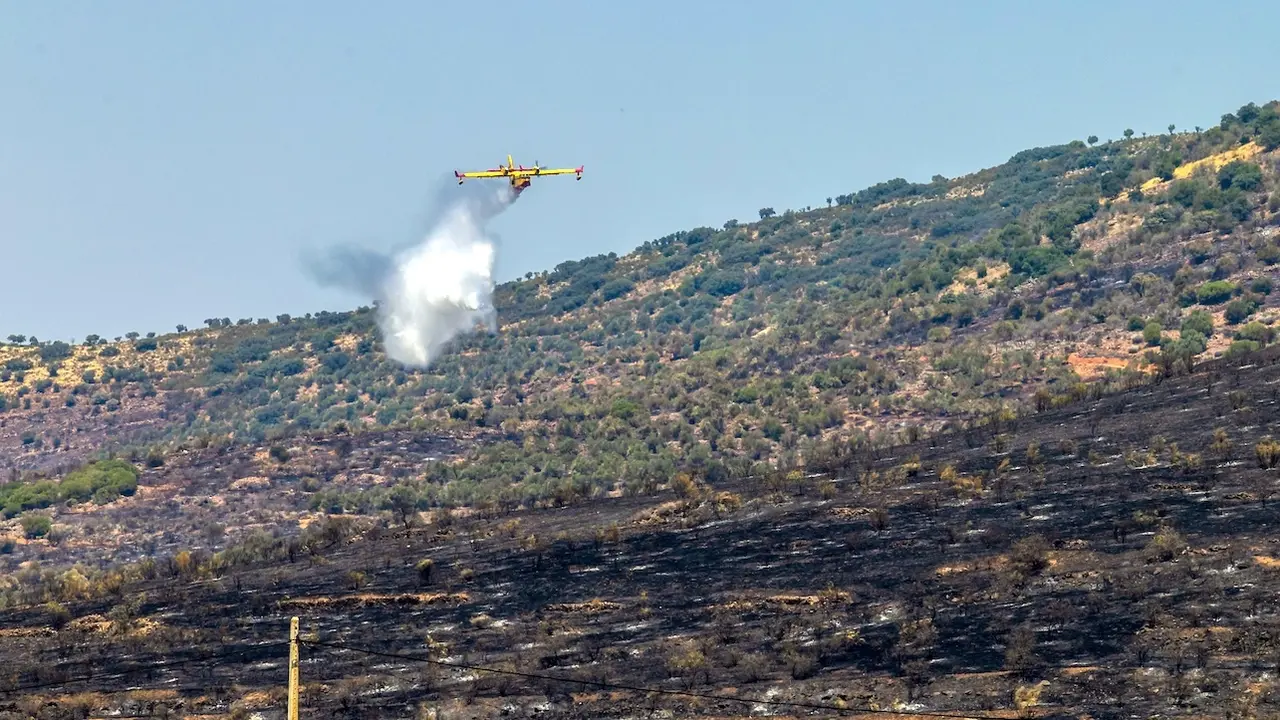 Un hidroavión participa en las tareas de extinción del incendio forestal declarado este martes en La Estrella (Toledo) - EFE/Ángeles Visdómine