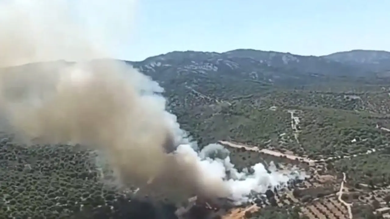 Medios trabajan en la extinción de un incendio forestal declarado en Viso del Marqués (Ciudad Real)
