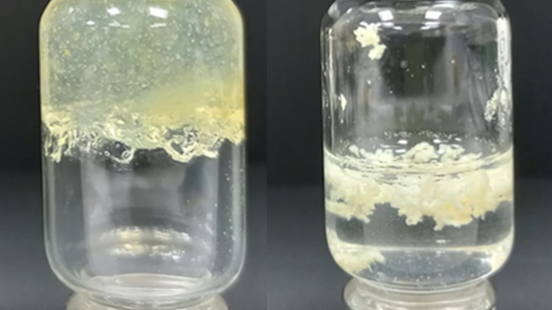 La UCLM desarrolla un hidrogel antimicrobiano para el tratamiento ecológico de frutas y de las heridas
