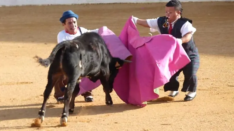 Piden suspender un acto taurino de personas con acondroplasia en Numancia de la Sagra (Toledo)