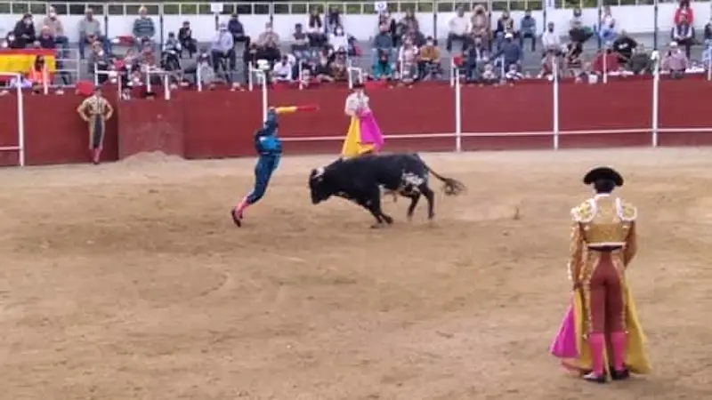 Un torero y un picador heridos durante un festejo taurino en un pueblo de Toledo