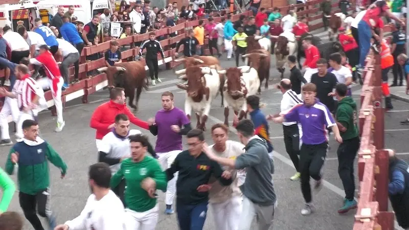 Guadalajara acoge un primer encierro de fiestas "limpio y rápido" con un herido leve y dos corredores contusionados
