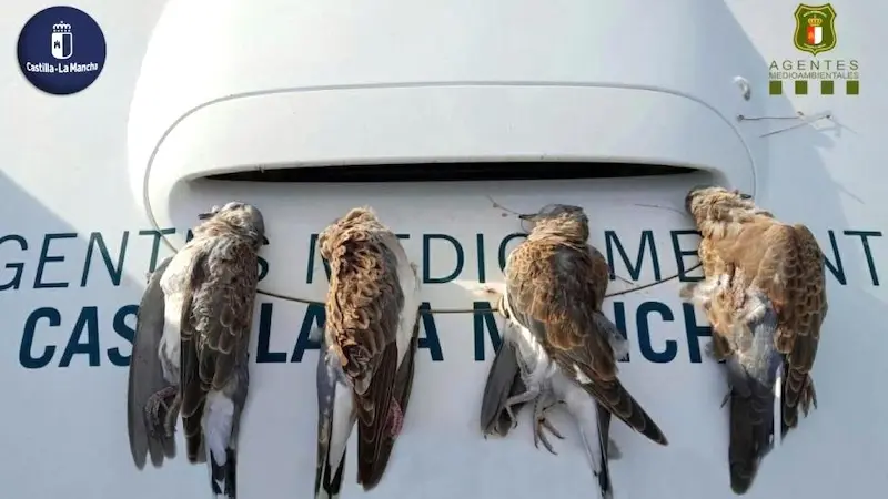 Sancionan a varios cazadores de Ciudad Real por incumplir las normas en la media veda