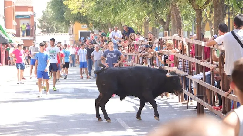 Un hombre herido por asta de toro durante los encierros de Almodóvar del Campo (Ciudad Real)