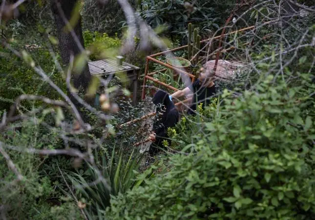 Asesinado un joven de 29 años y enterrado en cal viva en el bosque por una deuda