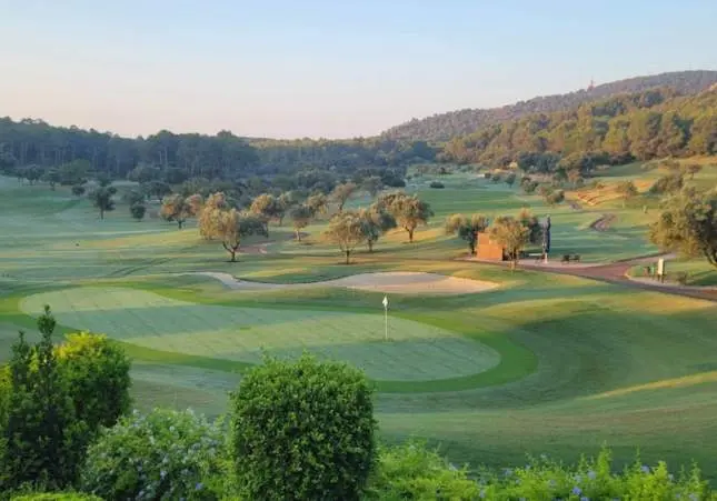 Hallado muerto tras desaparecer en un campo de golf: tiene un pelotazo en la cabeza
